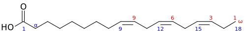 오메가 -3 지방산