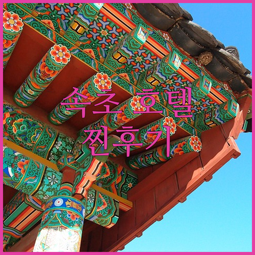 속초 호텔 완벽 분석! 내돈내산 후기