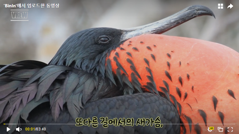 현수퍼 이미지
