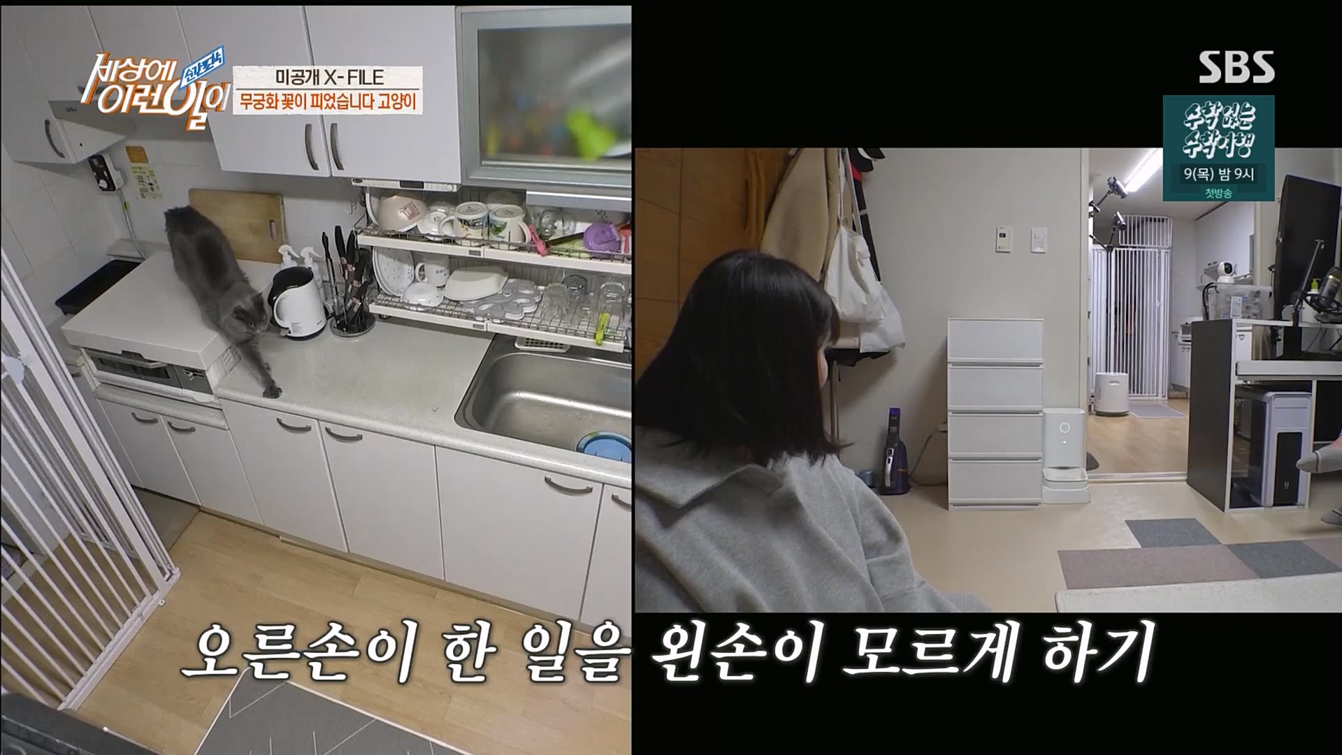 순간포착 세상에 이런일이.E1220.230307p.H264-F1RST.mp4_20230308_193450.109.jpg