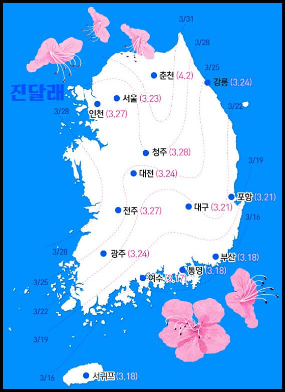 대한민국-지도-지역별-진달래-개화시기-표시한-이미지