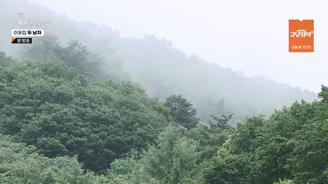 나는 자연인이다.E558.230615p-NEXT.mp4_20230615_200820.177.jpg