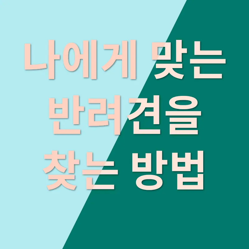 반려견 맞이하기_3