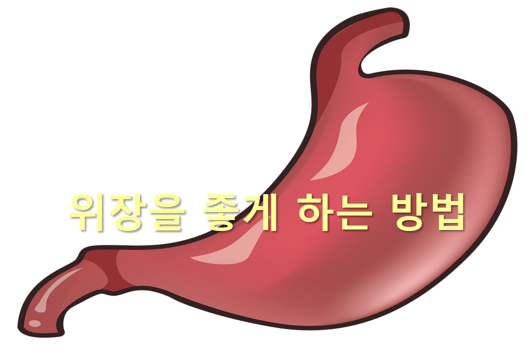 위장을 좋게 하는 방법과 위장을 좋게 하는 운동