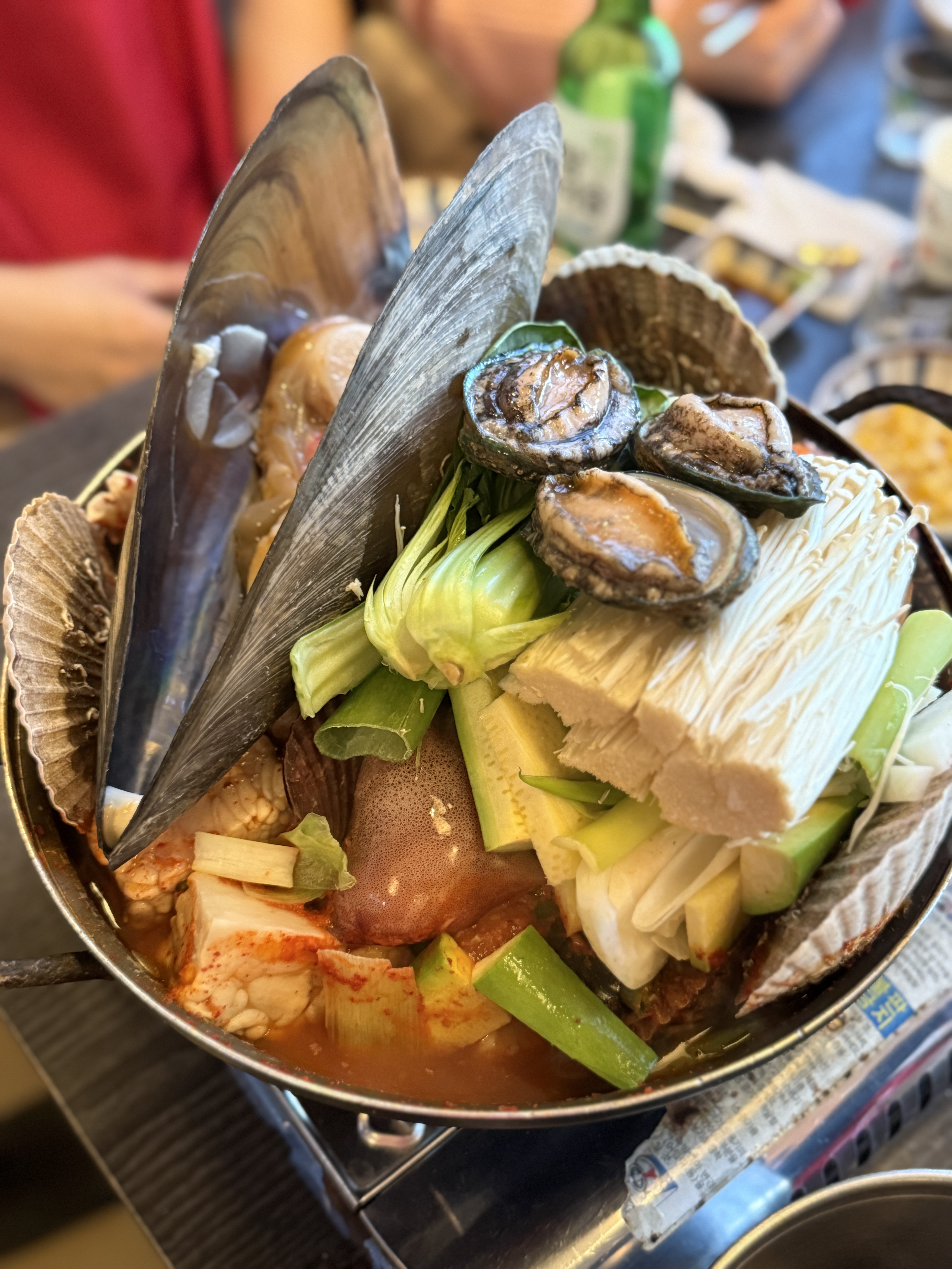 황소 사진 3
