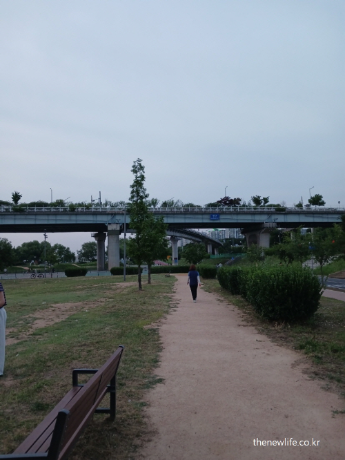 A person walking alone on a dirt trail at Gwangnaru Park during dusk, symbolizing peaceful and consistent walking routine-해 질 무렵 광나루 공원 흙길을 혼자 걷는 사람. 조용하고 일상화된 걷기 운동의 리듬을 상징