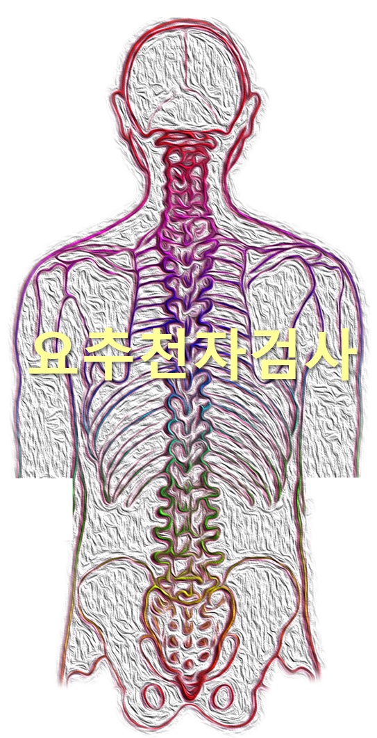  뇌척수액 검사 및 요추천자검사 방법