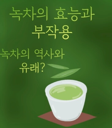  녹차 효능 부작용??