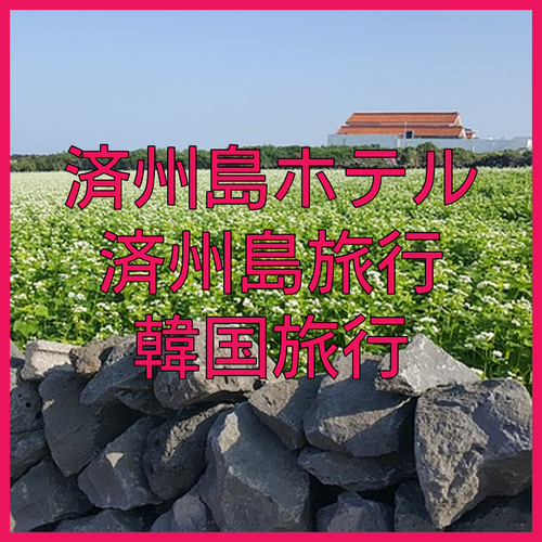 済州島ホテル最新情報🏨ホテルザボーンチェ