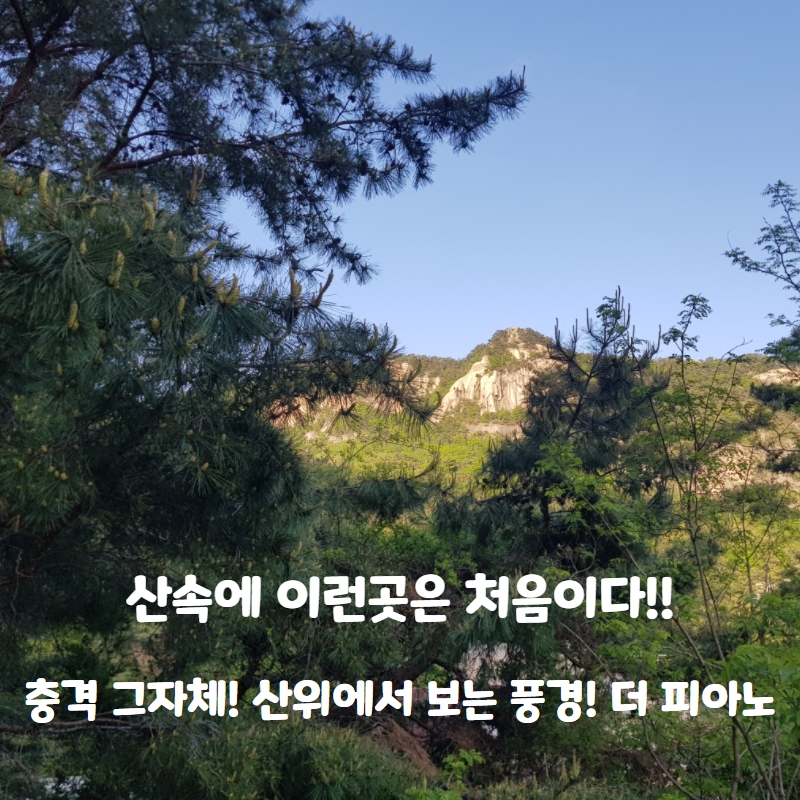  충격적인 위치! 하지만 반전이 있는 이곳!! 더 피아노