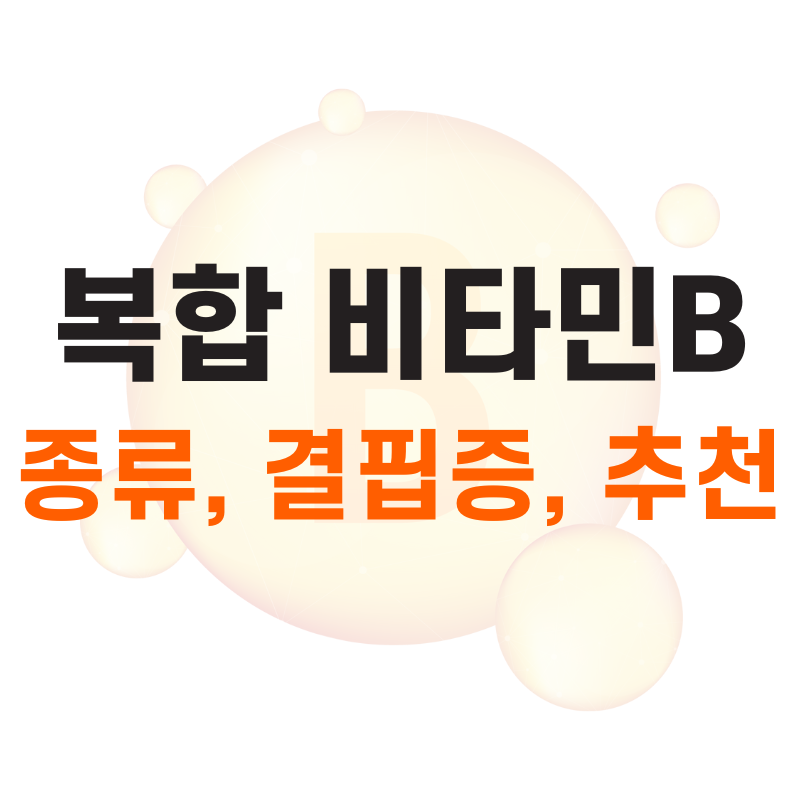 복합비타민B 추천