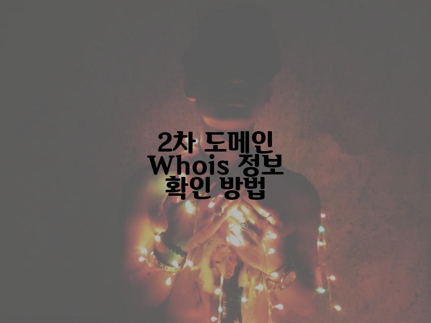 2차 도메인 Whois 정보 확인 방법