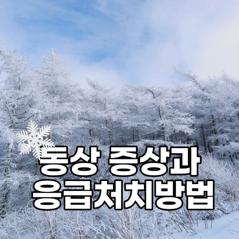 동상-썸네일