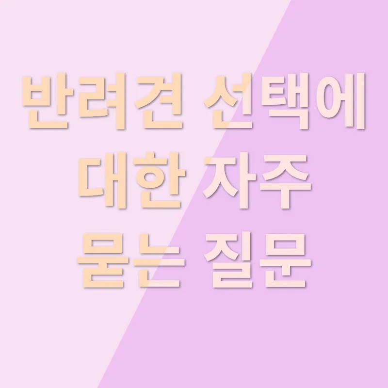 반려견 선택_4