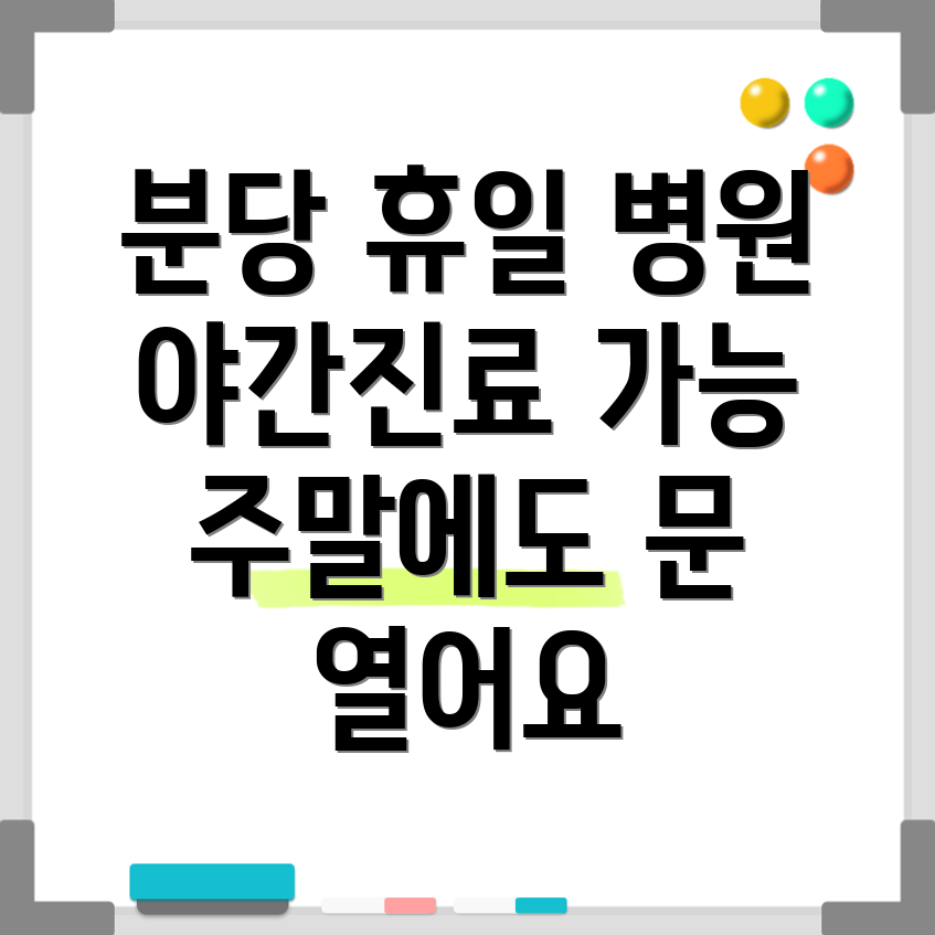 분당구 휴일진료