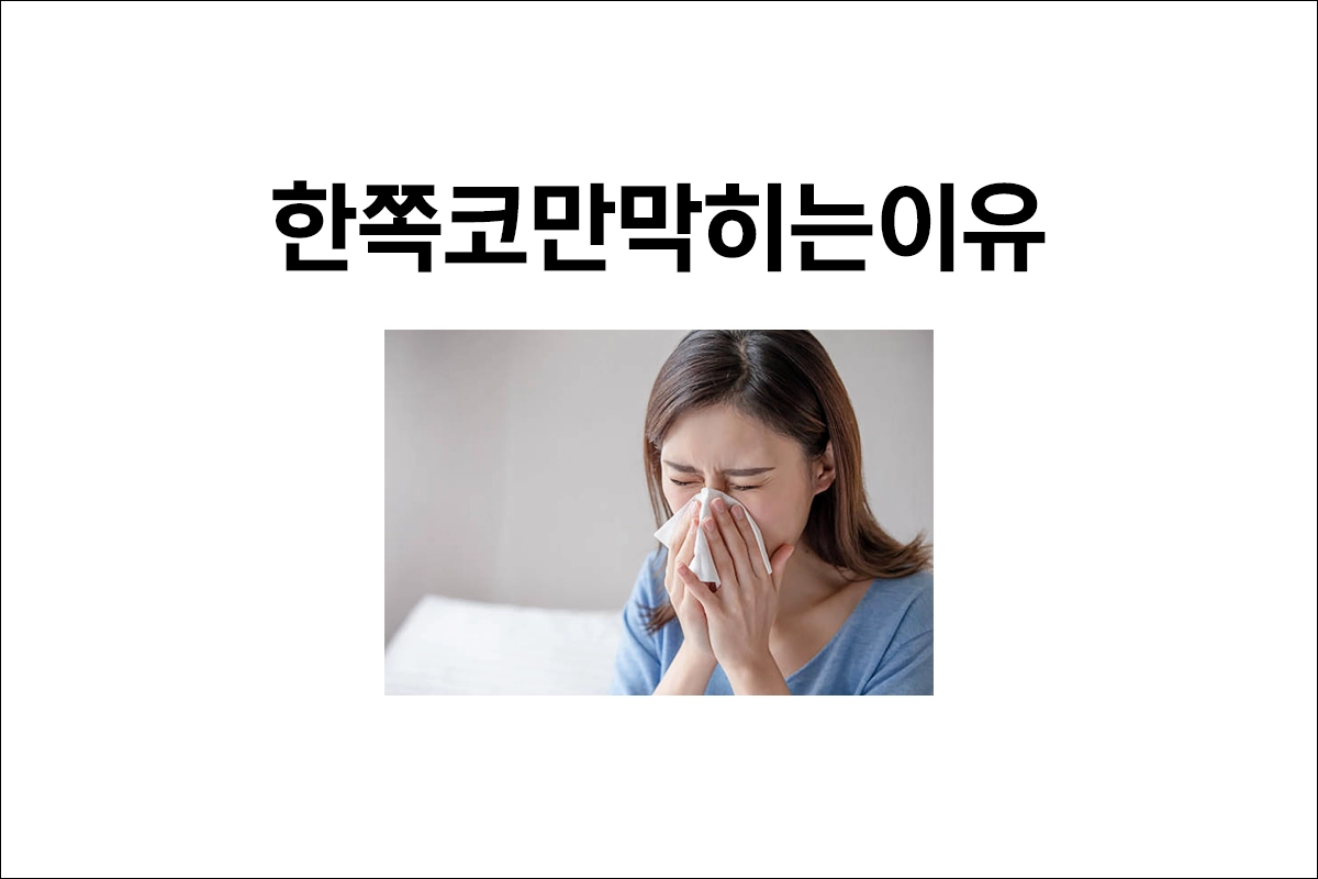 한쪽 코만 막히는 이유
