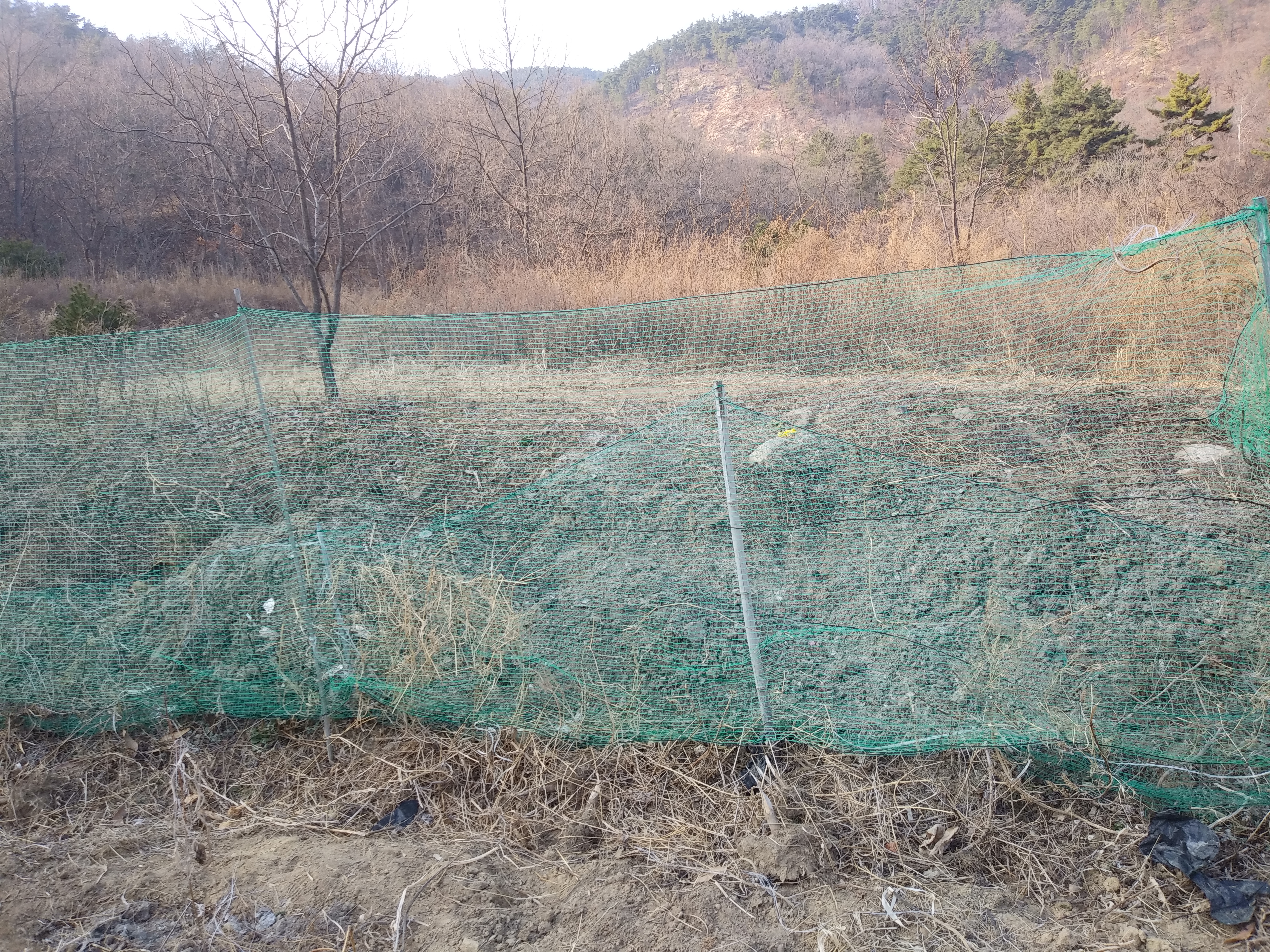 울타리 새로하기2023.3.5 2