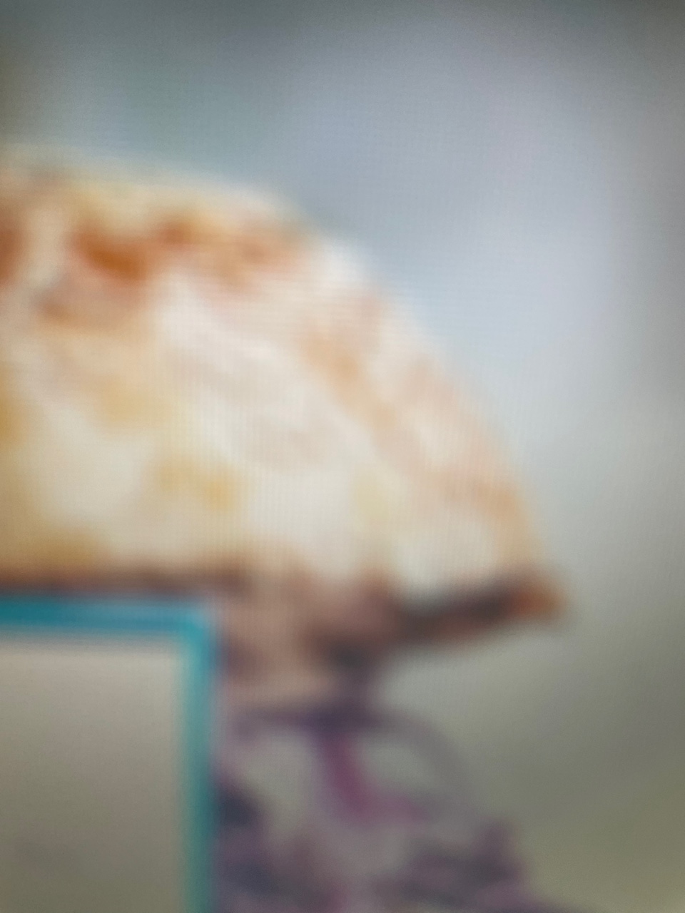 식품영양학과편입, 고졸이 9