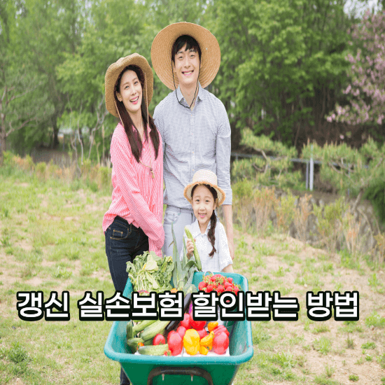 실손보험