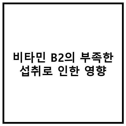 비타민 B2: 누구나 알아야 할 중요성과 효능