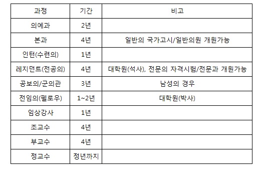 의사가 되기 위한 교육 과정