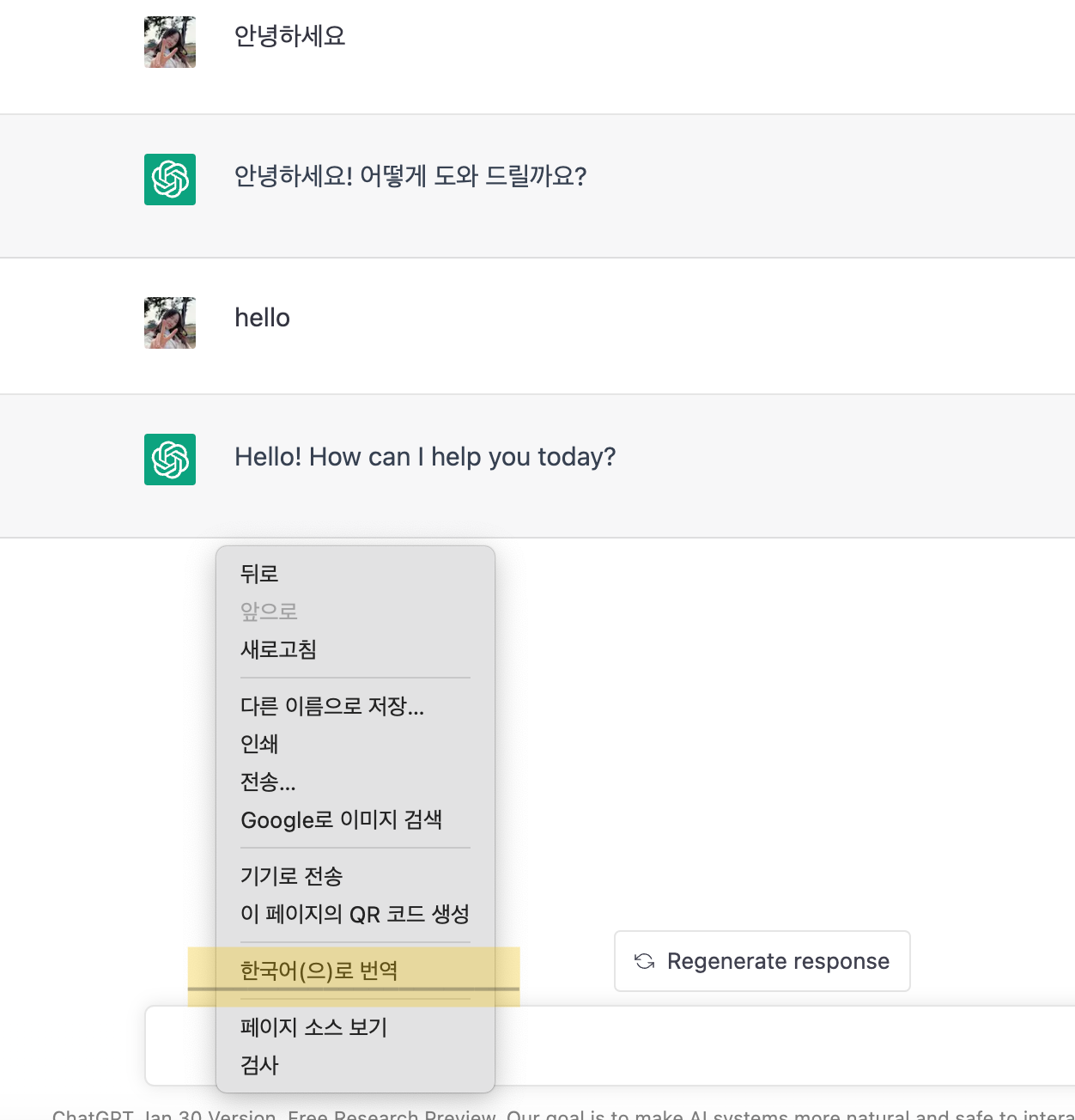 챗봇GPT 크롬 번역