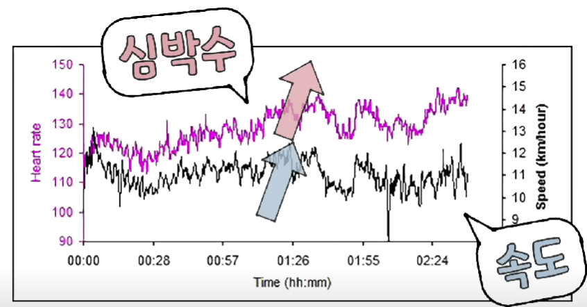 심박수와 속도의 관게