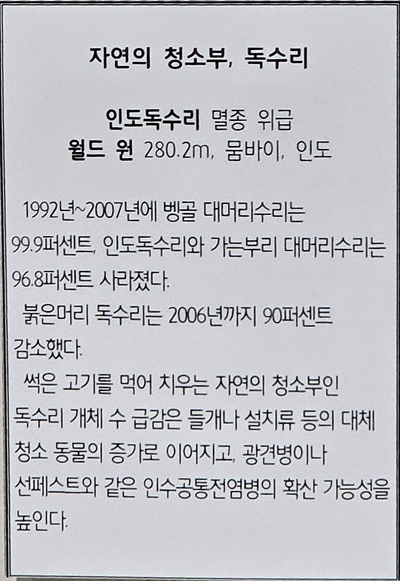 수성기획 이미지
