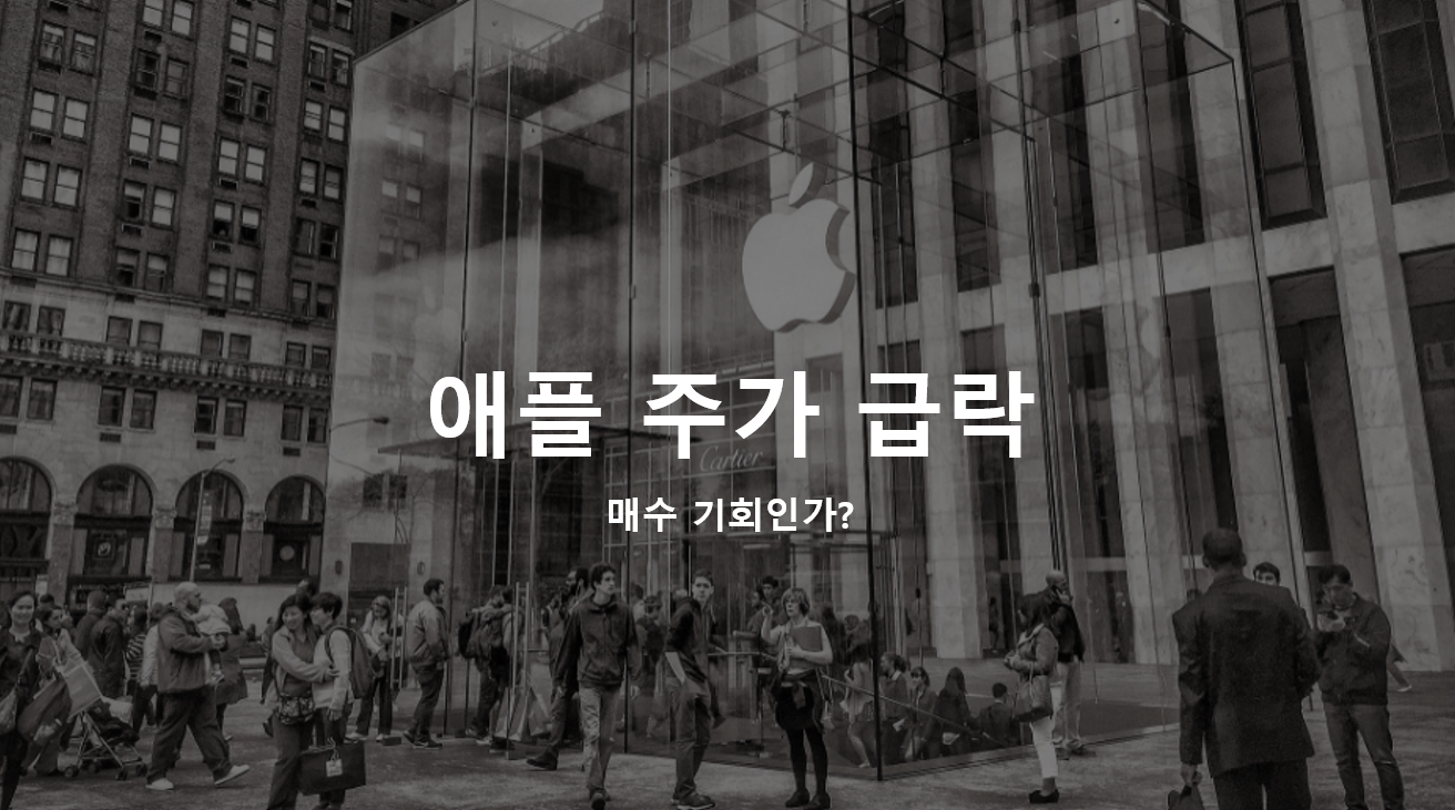  애플 주가 급락 - 이번 조정이 매수 기회일까?