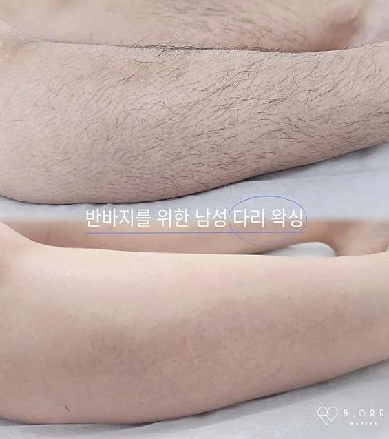 비오르