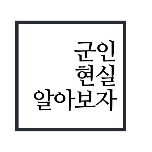  군인 현실 알아보자(안보면 손해)