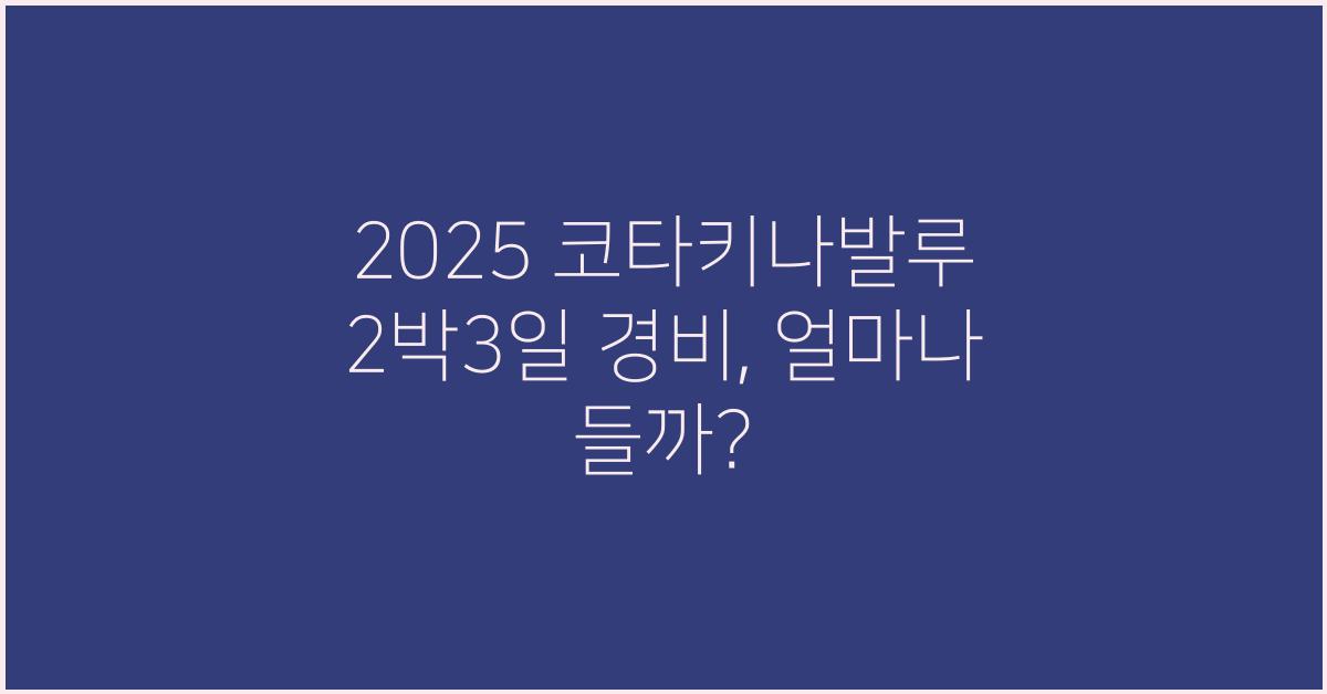 2025 코타키나발루 2박3일 경비