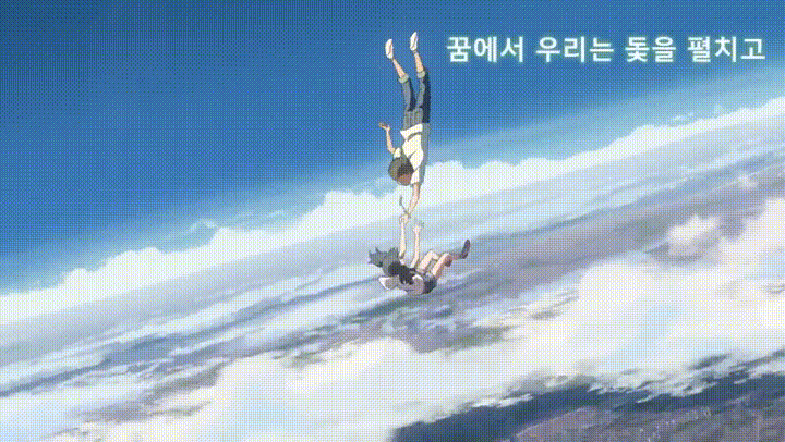  애니, 애니메이션 영화 추천 - 날씨의 아이 이누야사 완결편 등