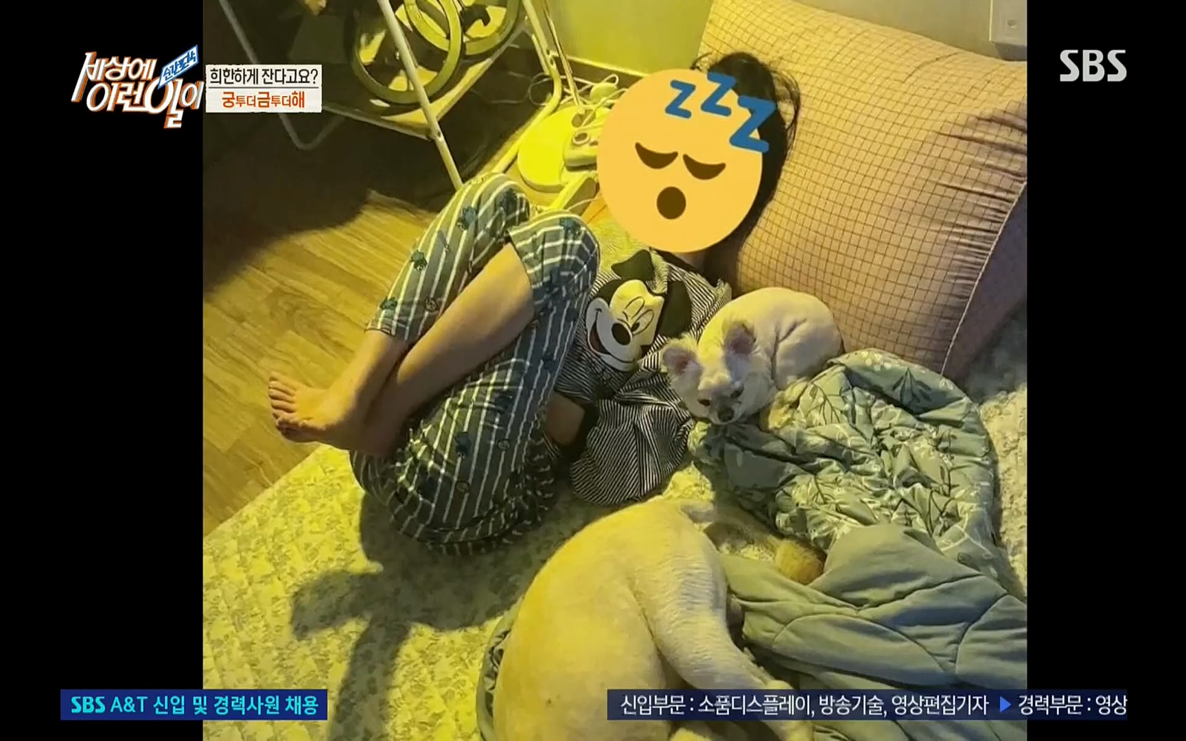 순간포착 세상에 이런일이.E1191.220802p.H264-F1RST.mp4_20220803_202139.648.jpg