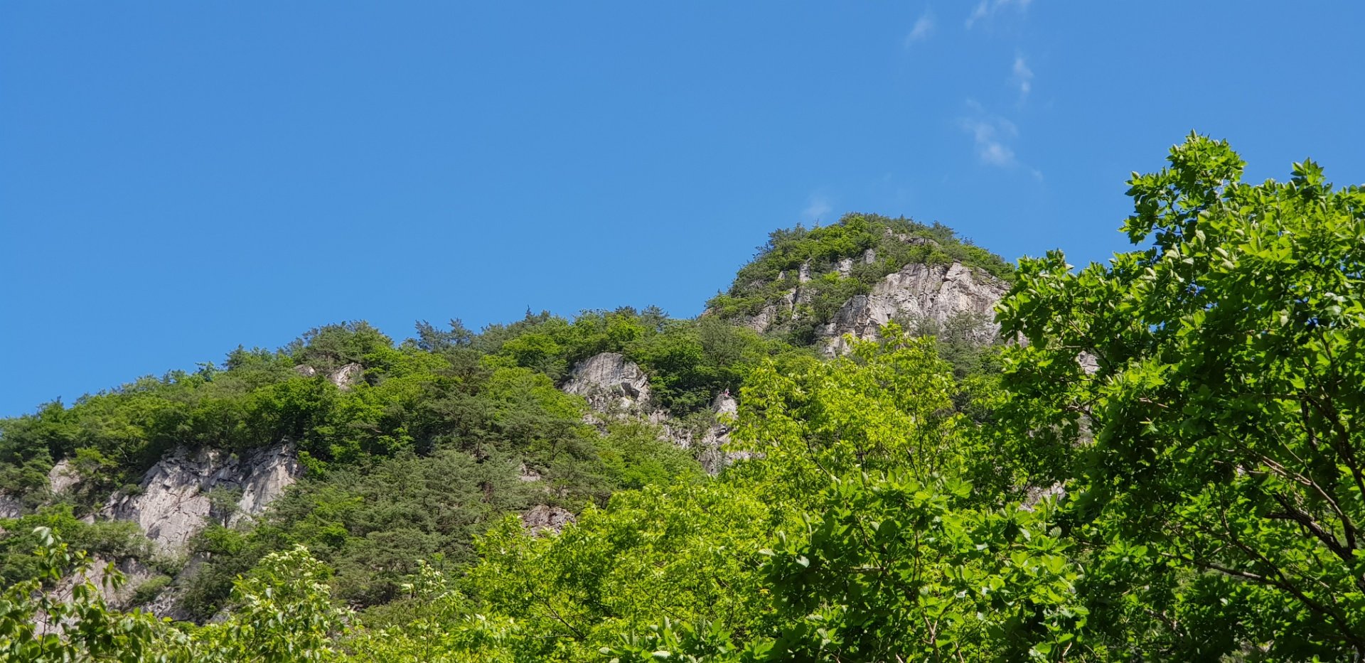 울산 천황산
