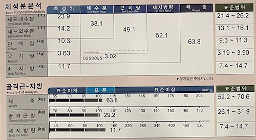 2023년 8월 17일 인바디 검사 결과