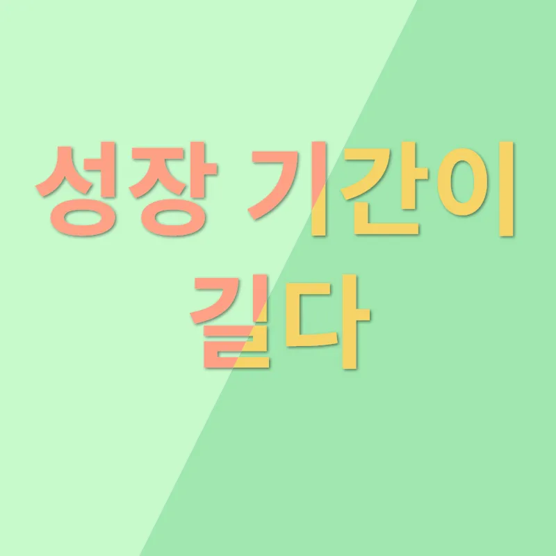 메인쿤 특징_2