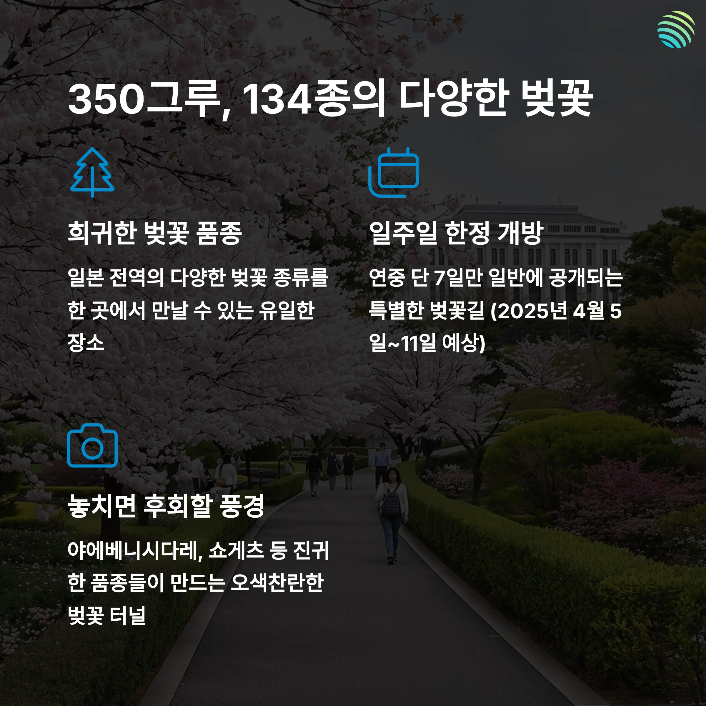 다양한 벚꽃 품종을 만날 수 있는 조폐국 정원