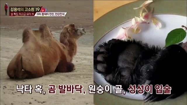 중국에서 외국 국빈들에게 대접하는 식사.gif