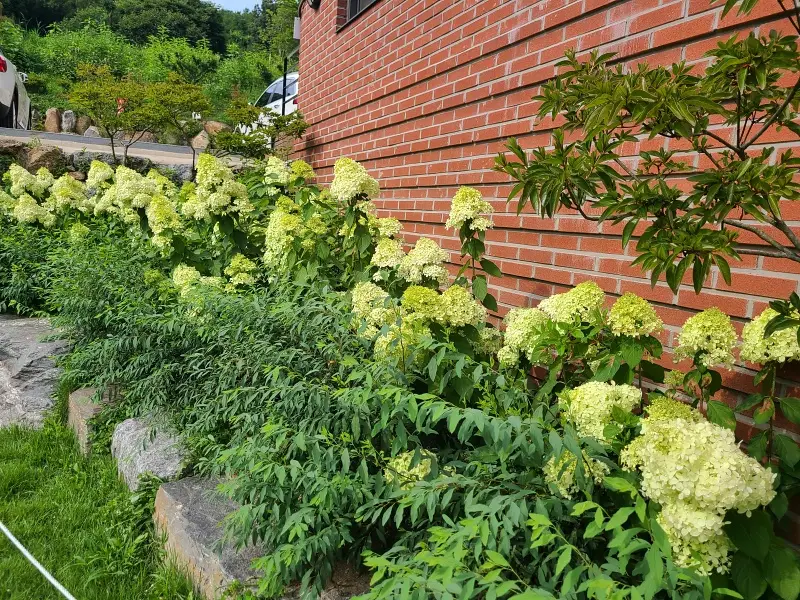 남한산성 카페산 입구