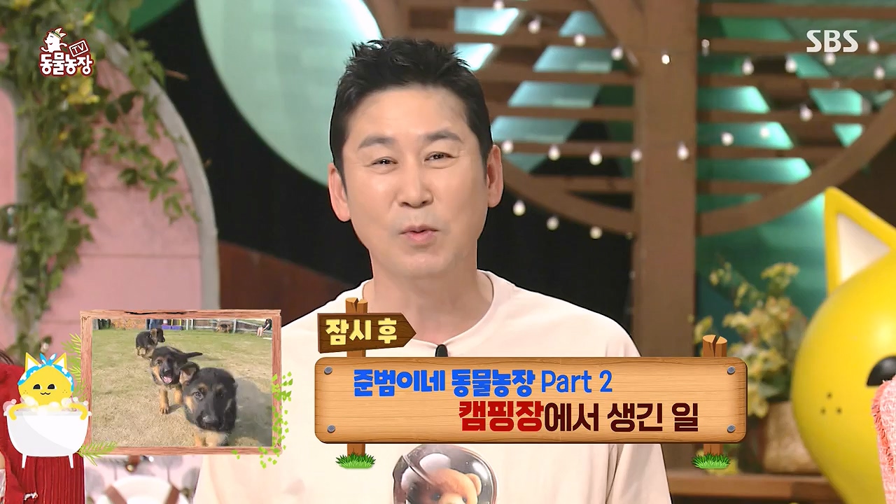 TV 동물농장.E1179.240708p-NEXT.mp4_20240707_160420.669.jpg