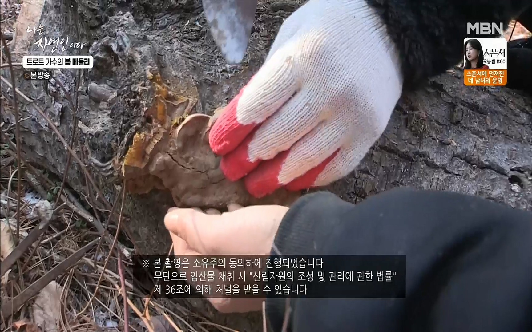 나는 자연인이다.E494.220323p.H264-F1RST.mp4_20220324_182101.312.jpg