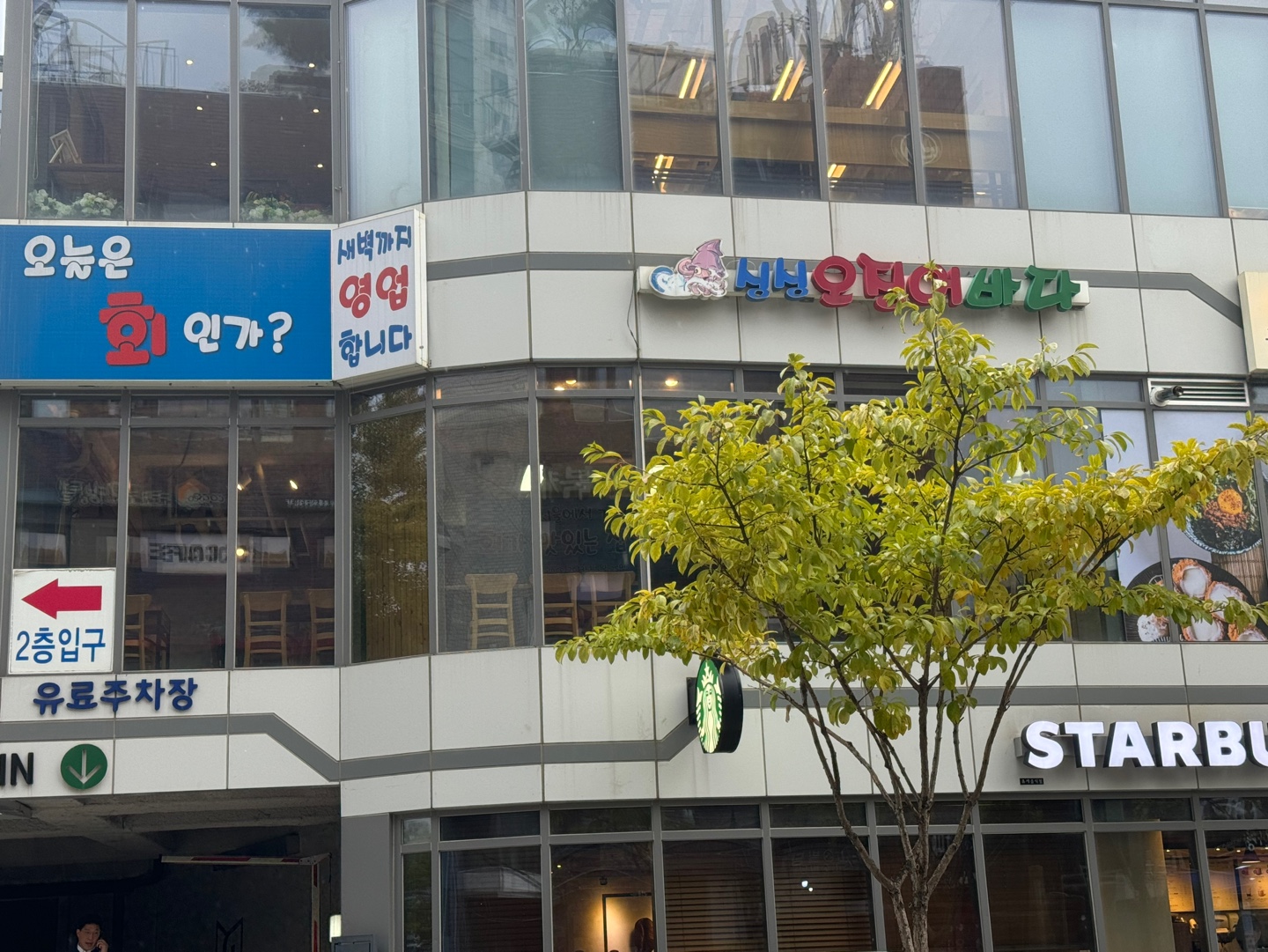 싱싱오징어바다 대표 사진