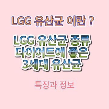 엘지지-LGG-유산균-이란-종류