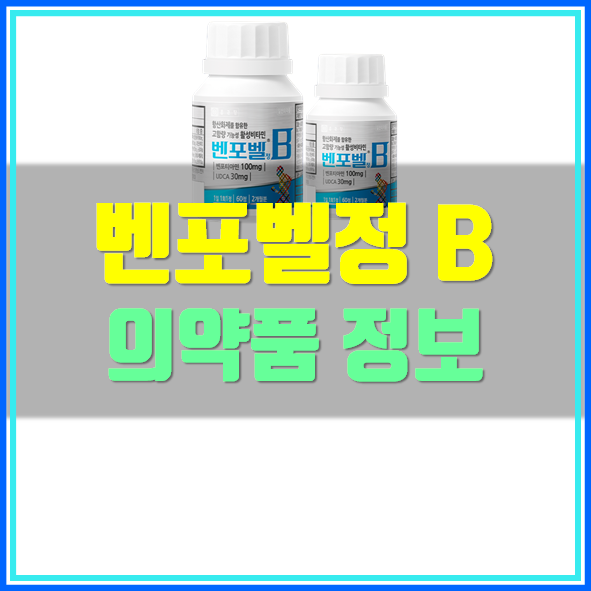  벤포벨정B 가격 복용법