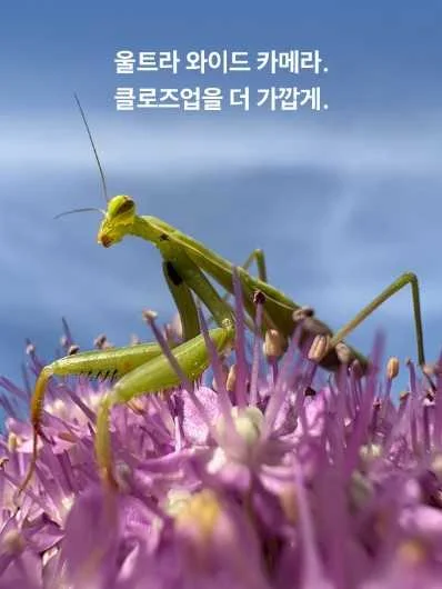 와이드 카메라