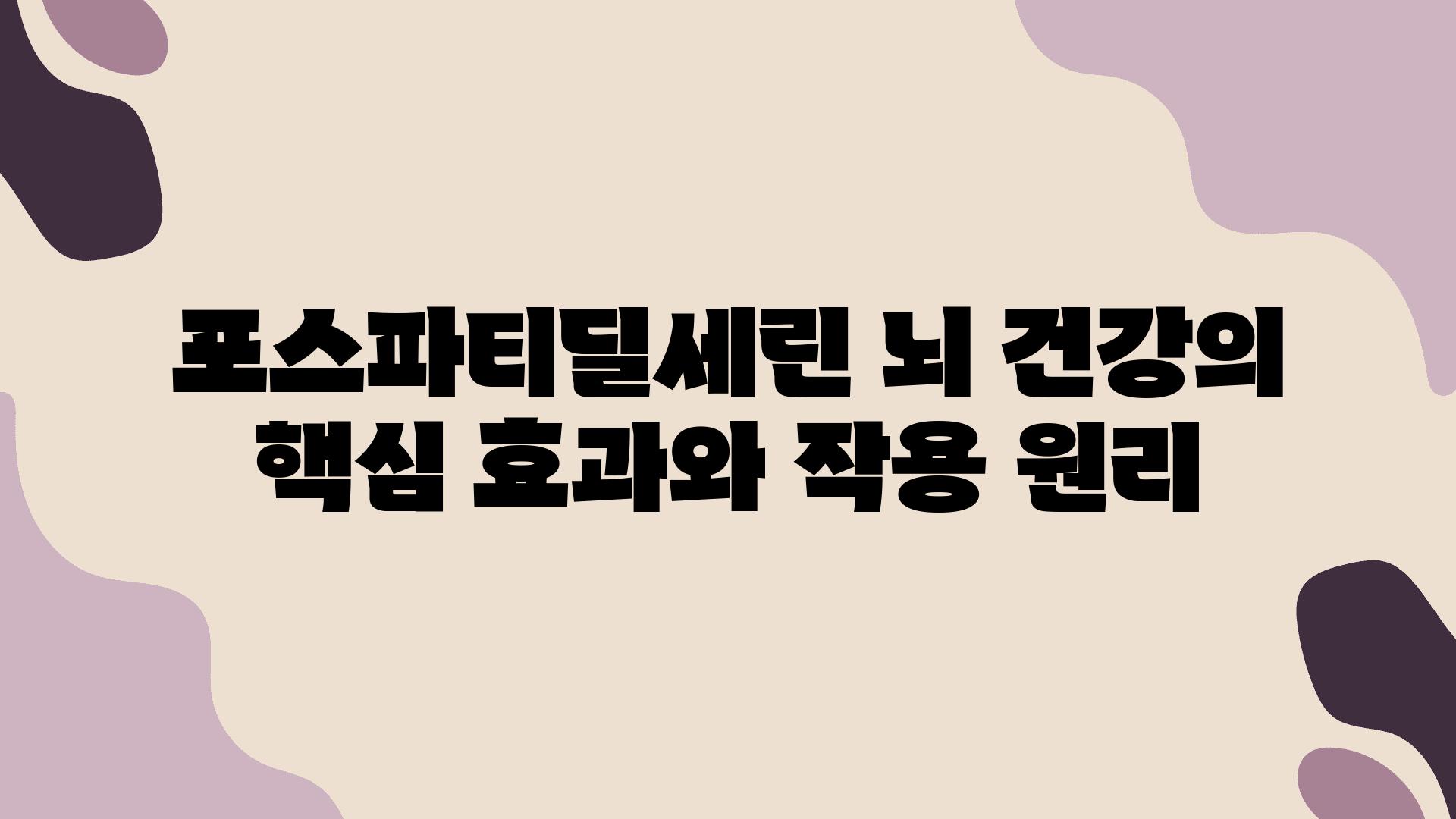 포스파티딜세린 뇌 건강의 핵심 효과와 작용 원리