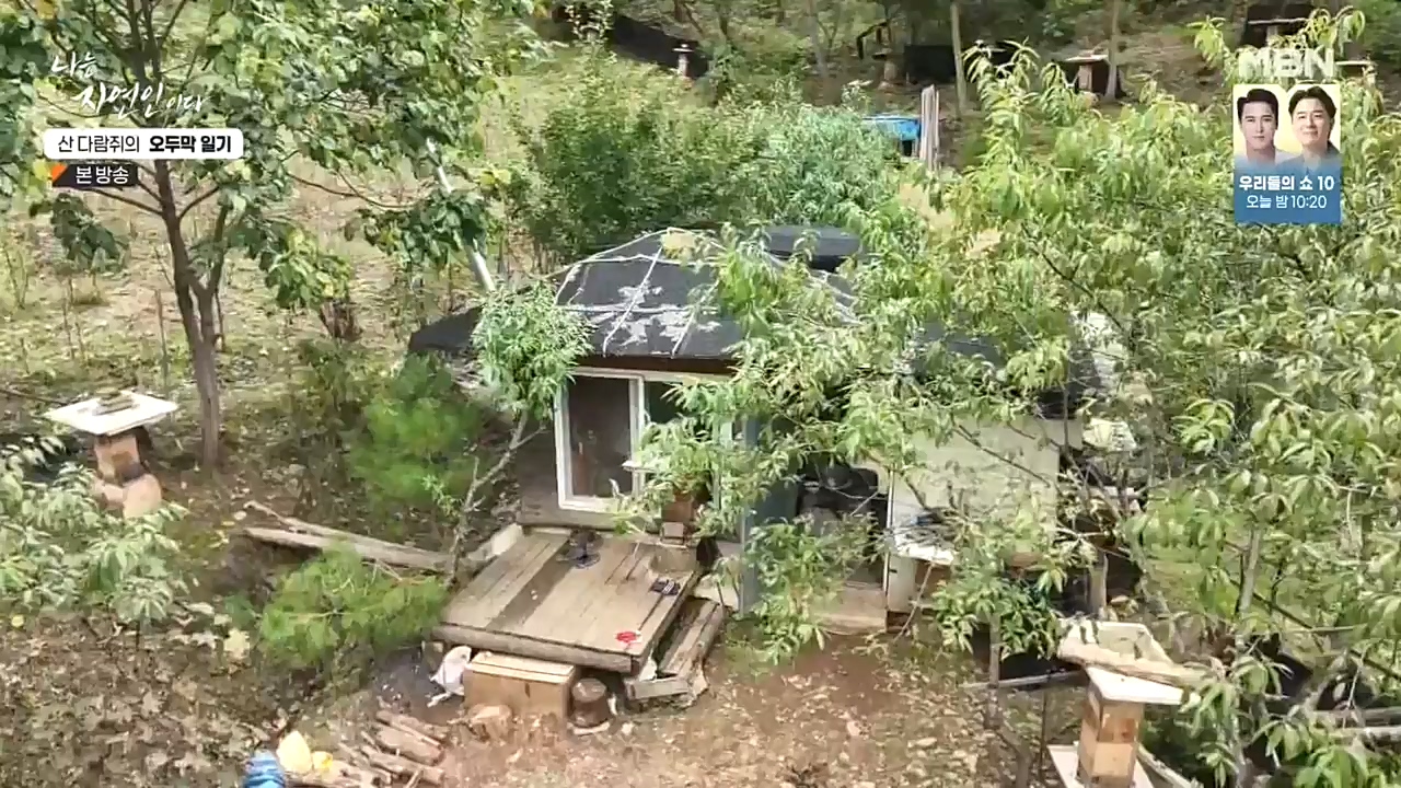 나는 자연인이다.E525.221027p-NEXT.mp4_20221027_192740.873.jpg