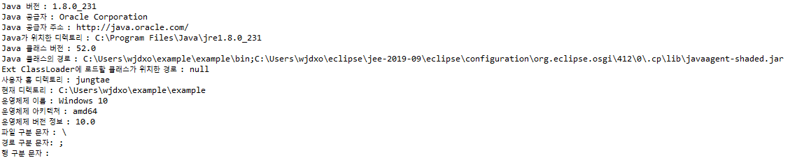  [Java] 자바 시스템 프로퍼티(시스템 속성) System.property() 사용법
