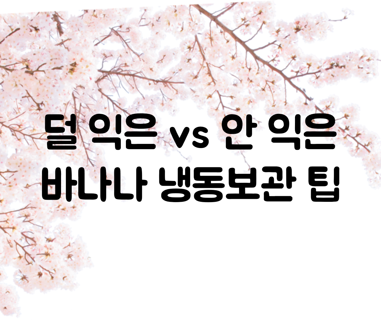  덜 익은 바나나 효능, 잘 익은 바나나 냉동보관법, 1개 열량 및 무게, 주의할점